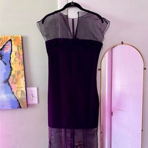 NWT Black Zara dress, sheer placements, chic!!!